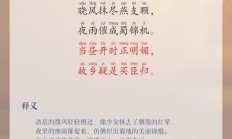 蔷的词语（啊的四字词语）