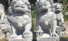石狮子有的像什么有的像什么（形容狮子形态,用有的 什么像）