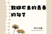 青春已去已不再年轻的句子（人到中年怀念青春的诗句）