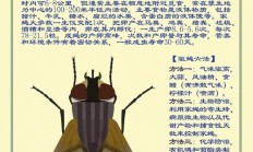 驱苍蝇（家里苍蝇多怎么办）