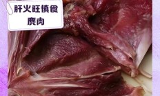 麂子市场价多少一斤（野生麂子肉为何叫癌症六王）