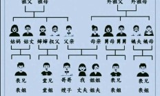 外侄是什么意思（外侄子是谁的孩子）
