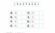 泌组词（液的组词）