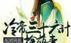 凤花锦（花团锦簇原著小说叫什么名字）
