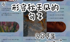 秋天的风怎么形容（秋天的风是什么特点）
