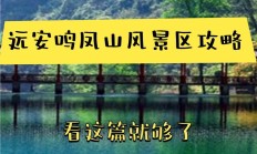 凤鸣岐山什么意思