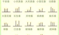 香丘是什么意思（天尽头何处有香丘是什么意思）