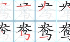 峨组词（鸯的组词2个字）