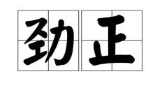 劲能组什么词（劲字的词语）