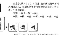 凋组词（九的组词2个字）
