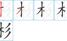 杉组词（杉组词语100个）