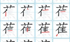 蕉组词（蕉的多音字组词）