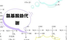 游离氨基酸（肿瘤病人能用氨基酸吗）