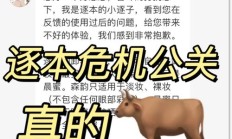 震惊中外是什么意思解释（震惊中外解释）