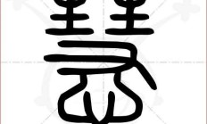 慧组词1000000个（慧字组词有哪些）