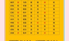 地肖有哪些生肖（地肖是什么生肖动物）