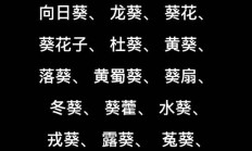 葵的组词（瘦的组词）