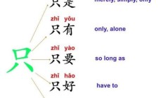 仅组词（仅的组词有哪些）