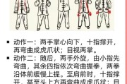 练五禽戏不能随便练（五禽戏适合什么时间练）