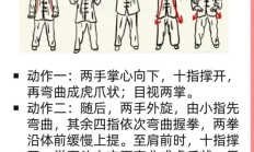 练五禽戏不能随便练（五禽戏适合什么时间练）