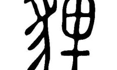 狸组词（狸的最佳配字）