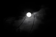 月黑风高夜（夜黑风高还是月黑风高夜）