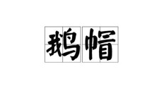 帽组词语（帽子大全及图片）