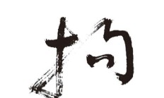 拘组词（拘组词和读音）