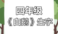 鹅组词（大鹅的鹅）