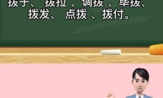 拨可以组什么词（拨的组词2个字）