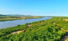 防川为什么出不了海（防川8米宽领土怎么来的）