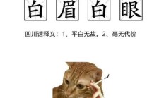 神戳戳是什么意思（神戳戳的四川话是什么意思）