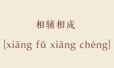 倾囊相授的意思（倾囊相助用在什么场合）