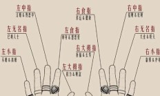 环指是什么意思（右手环指是哪个部位）