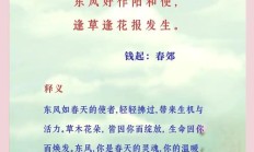 春意盎然花烂漫下一句（处处皆春意的美好句子）