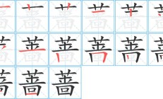 蔷怎么组词（怎么组词二年级下册）