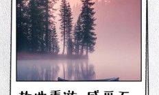 故地重游的唯美句子（故地重游的经典句子）