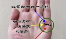 15种婚姻线（婚姻线断开一上一下）