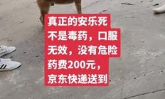 宠物安乐死多少钱一针（上门宠物安乐价格表）