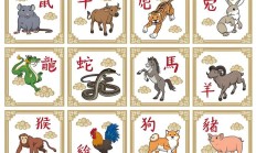 强龙不压地头蛇指什么生肖（十二生肖谁是地头蛇）