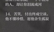 多余的人的伤悲句子（优雅而伤感的句子）