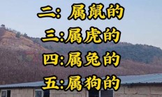南征北战三大生肖（南征北战最正确动物）