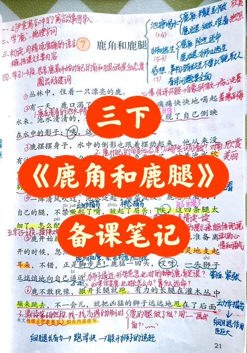 鹿腿与鹿角(鹿角和鹿腿是什么原因)