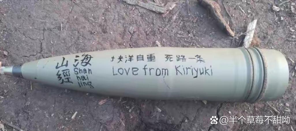 挟洋自重是什么意思(挟洋自重的典故)