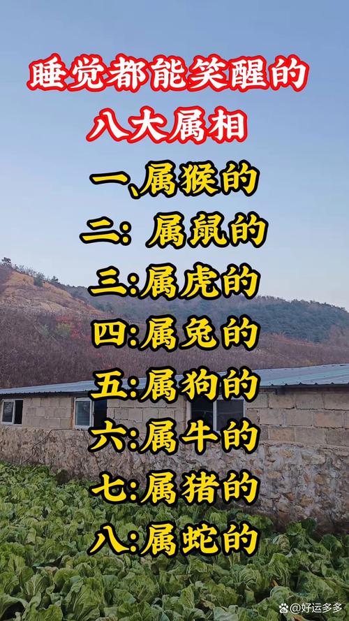 南征北战三大生肖(南征北战最正确动物)