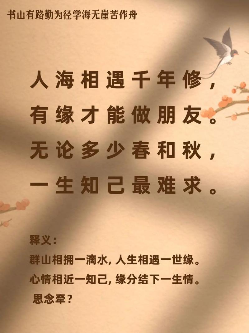 知己是什么意思是什么关系(发生过关系的知己叫什么)