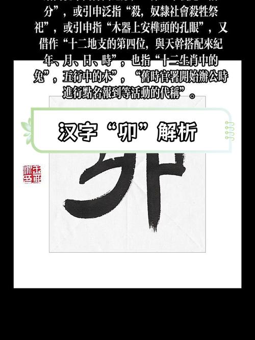 卯组词(带卯的成语)