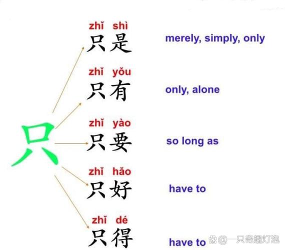 仅组词(仅的组词有哪些)