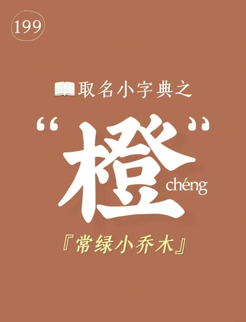 带橙字的网名(橙字最吉利的微信名)