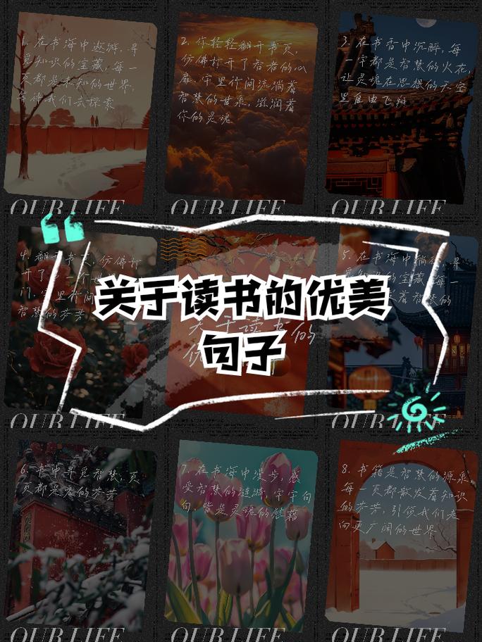 女人看书的唯美句子(享受看书的唯美句子)